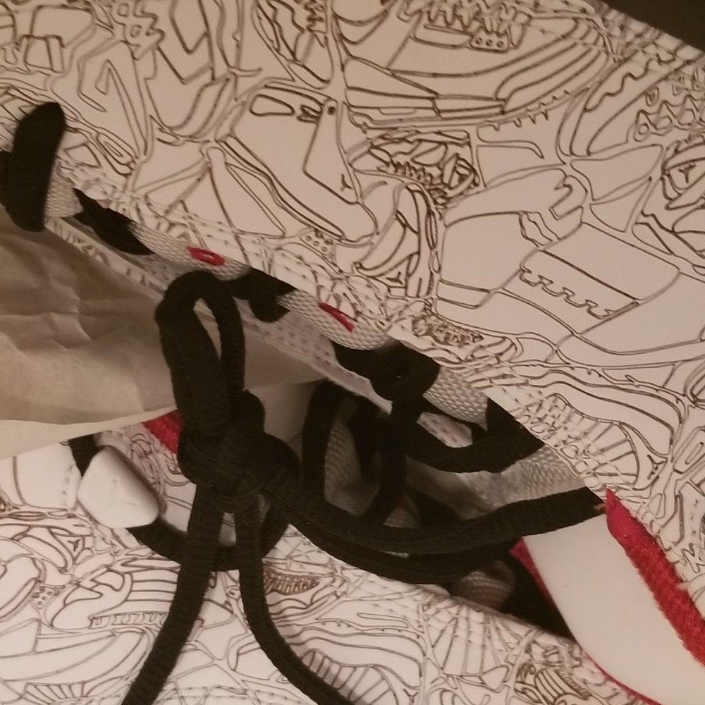 Nike Air Jordan Dub Zero Varsity